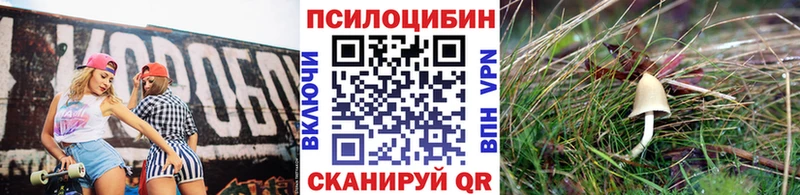 Псилоцибиновые грибы мицелий  Бутурлиновка 